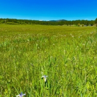 Whitney Valley Ranch images 6