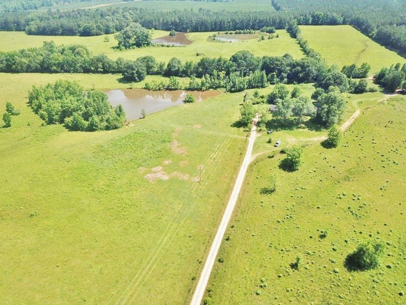 4 Bed 2 Bath Home 100 Acres Pastureland for Sale SW MS featured image
