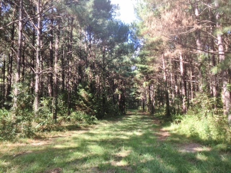 220 Acres Martinsville Road featured image