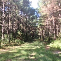 220 Acres Martinsville Road