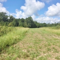 220 Acres Martinsville Road images 2