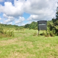220 Acres Martinsville Road images 3