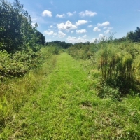 220 Acres Martinsville Road images 5