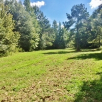 220 Acres Martinsville Road images 6