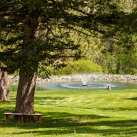 Whispering Creek Ranch images 6