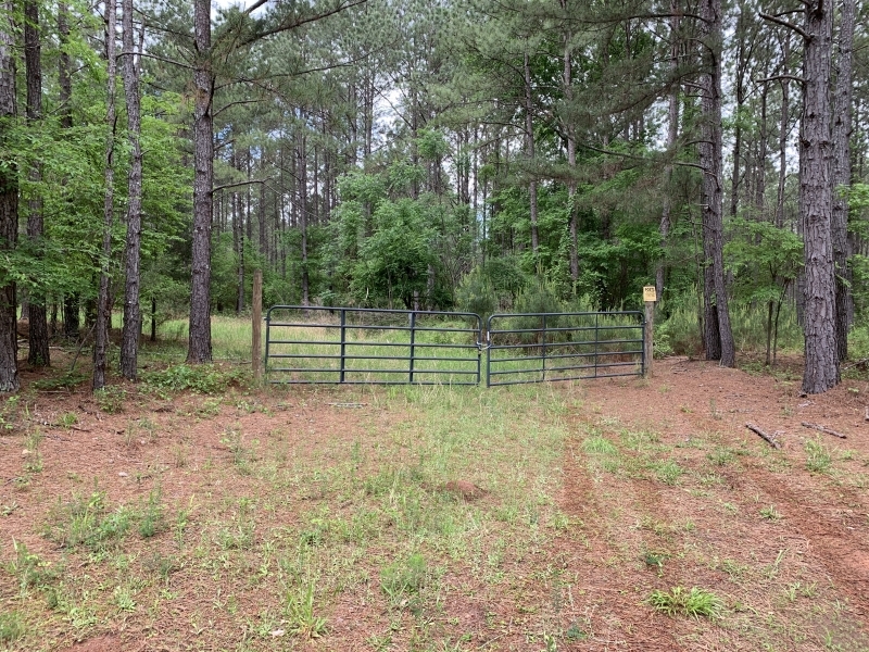 Parks Mill South featured image