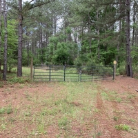 Parks Mill South