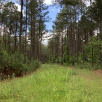 Parks Mill South images 3