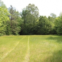 Hardwood Tract Creek Fishing Hunting images 2