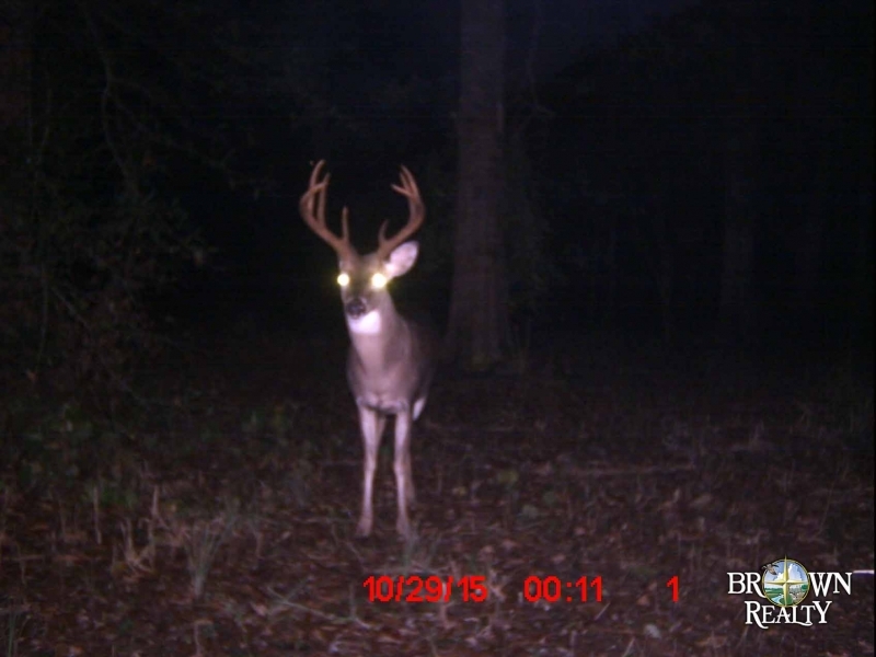 MS - Holmes Lawrence 160 acres - featured image