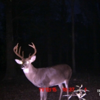 MS - Holmes Lawrence 160 acres - images 2