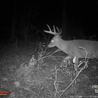 MS - Holmes Lawrence 160 acres - images 4