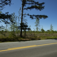12.13 Acres in Jefferson County images 3
