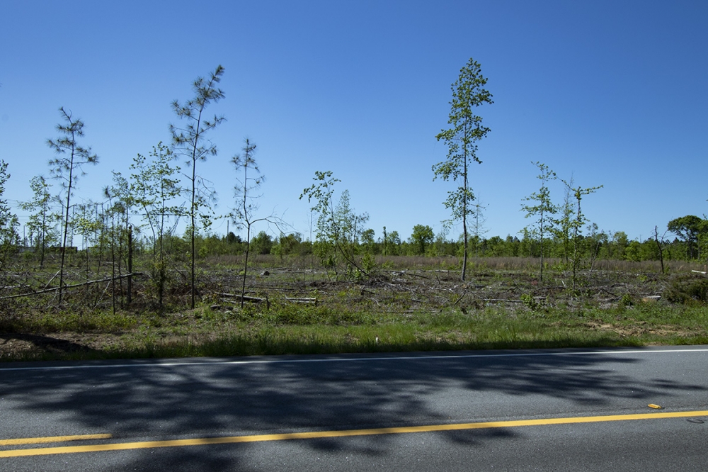 12.13 Acres in Jefferson County featured image