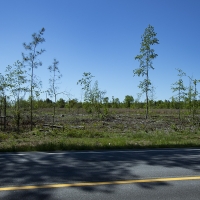 12.13 Acres in Jefferson County