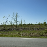 12.13 Acres in Jefferson County images 2