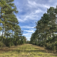 20 Acres New Waterwood Tr 7A images 4
