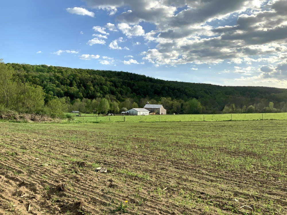 87 acre Homestead and Farm Brookfield NY featured image