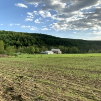 87 acre Homestead and Farm Brookfield NY images 1