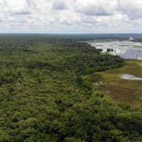 Ocklawaha River Preserve - Parcel 6-A images 3