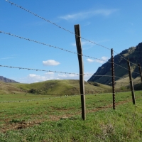 Wilde Imnaha River Ranch images 4
