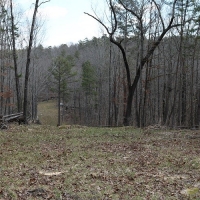 ARKANSAS HUNTING PROPERTY FOR SALE images 3