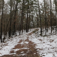 ARKANSAS HUNTING PROPERTY FOR SALE images 5