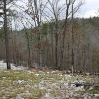 ARKANSAS HUNTING PROPERTY FOR SALE images 4