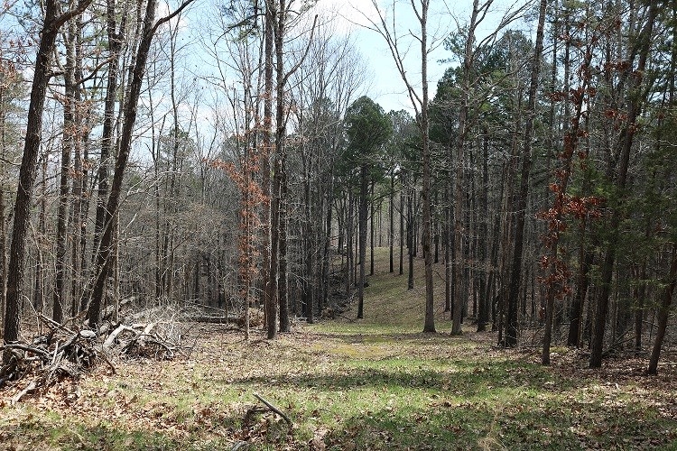 ARKANSAS HUNTING PROPERTY FOR SALE featured image
