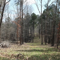 ARKANSAS HUNTING PROPERTY FOR SALE