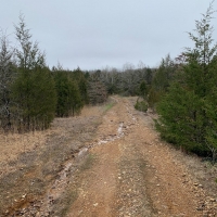 ACREAGE TRACT FOR SALE IN NORTH CENTRAL ARKANSAS images 6