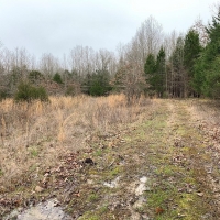 ACREAGE TRACT FOR SALE IN NORTH CENTRAL ARKANSAS images 5