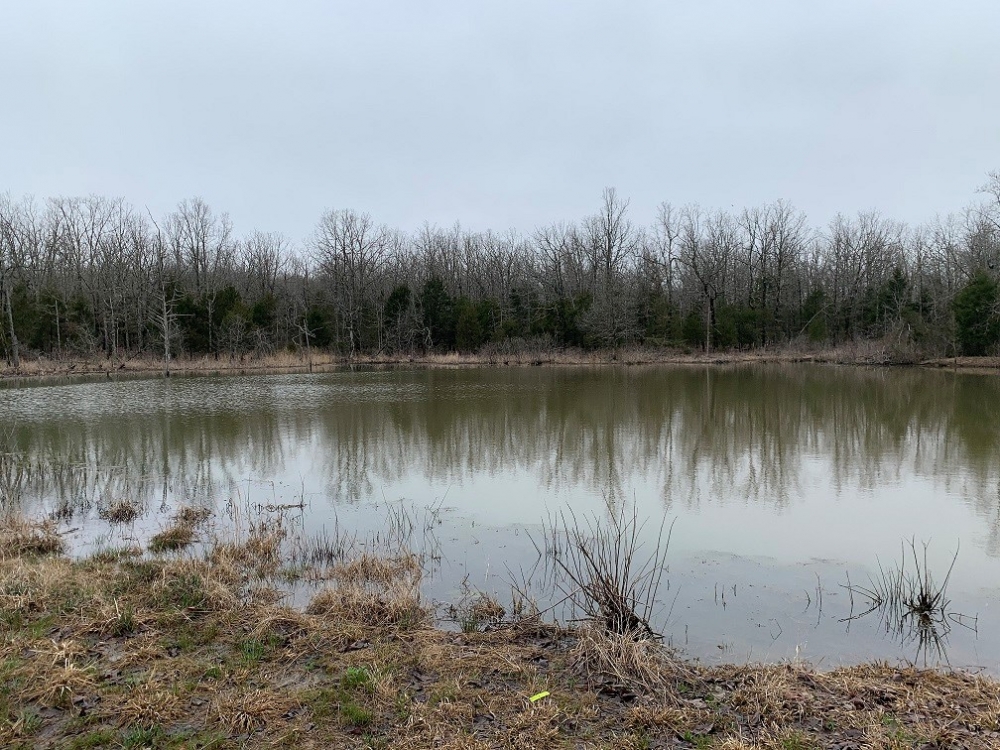 ACREAGE TRACT FOR SALE IN NORTH CENTRAL ARKANSAS featured image