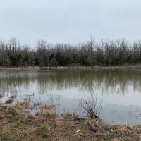 ACREAGE TRACT FOR SALE IN NORTH CENTRAL ARKANSAS