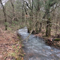 ACREAGE TRACT FOR SALE IN NORTH CENTRAL ARKANSAS images 4