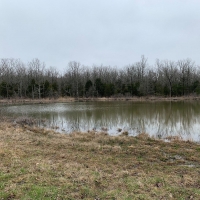 ACREAGE TRACT FOR SALE IN NORTH CENTRAL ARKANSAS images 3