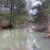 ACREAGE TRACT FOR SALE IN NORTH CENTRAL ARKANSAS images 2