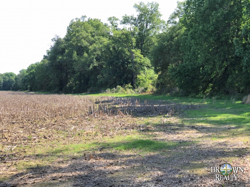 LA West Carroll Epps 134 acres Hunting Land for Sale