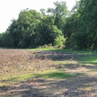 LA - West Carroll Epps 134 acres -