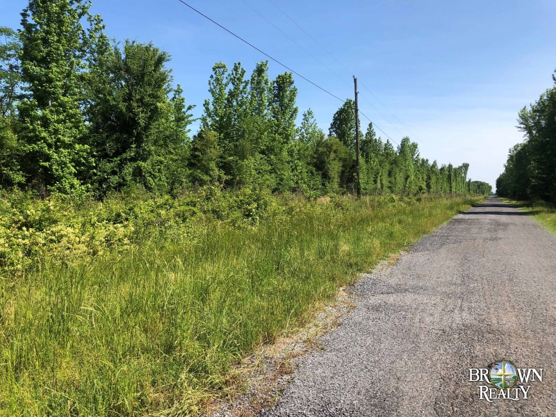 LA West Carroll Epps 134 acres Hunting Land for Sale