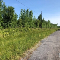 LA - West Carroll Epps 134 acres - images 2