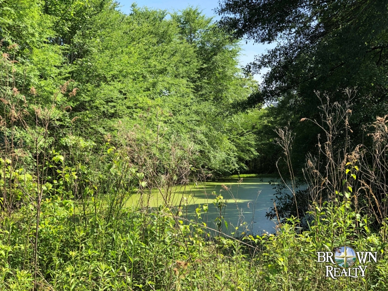 LA West Carroll Epps 134 acres Hunting Land for Sale