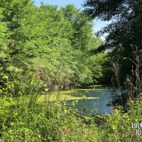 LA - West Carroll Epps 134 acres - images 3