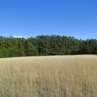LARGE ACREAGE PROPERTY N. OF BATESVILLE 100 000 PRICE DROP images 2