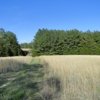 LARGE ACREAGE PROPERTY N. OF BATESVILLE 100 000 PRICE DROP images 3