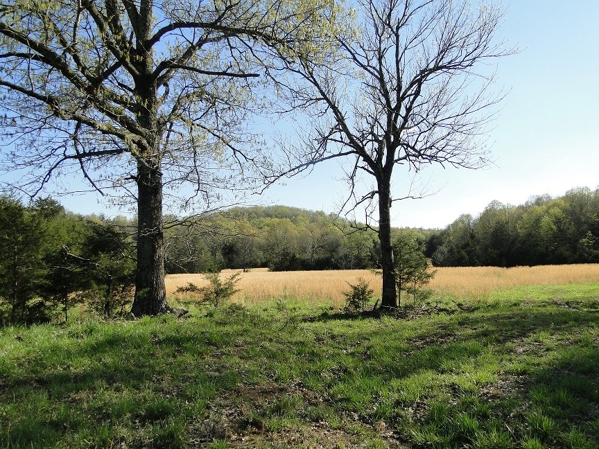 LARGE ACREAGE PROPERTY N. OF BATESVILLE 100 000 PRICE DROP featured image