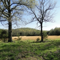 LARGE ACREAGE PROPERTY N. OF BATESVILLE 100 000 PRICE DROP