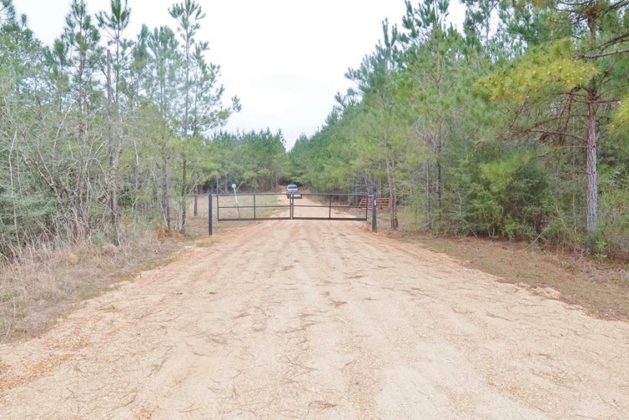 Hunting Investment Land for Sale Jefferson Davis County MS featured image