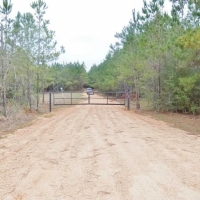 Hunting Investment Land for Sale Jefferson Davis County MS