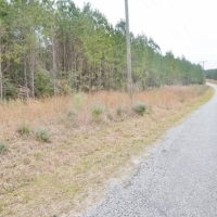 Hunting Investment Land for Sale Jefferson Davis County MS images 2